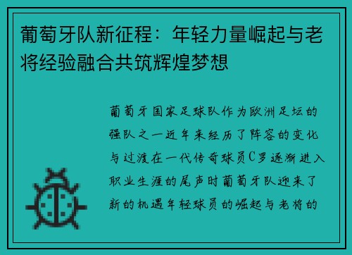 葡萄牙队新征程：年轻力量崛起与老将经验融合共筑辉煌梦想
