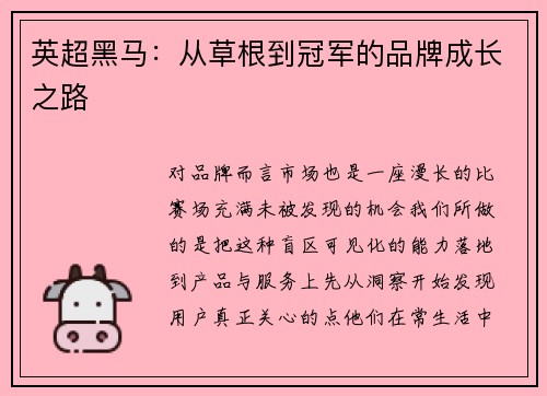 英超黑马：从草根到冠军的品牌成长之路