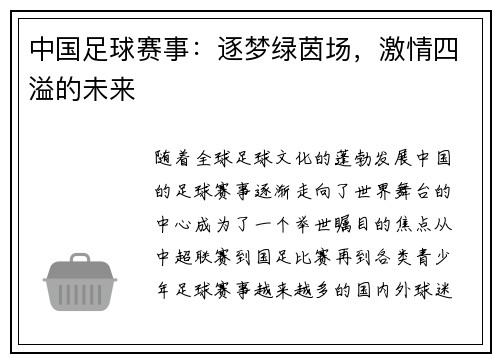 中国足球赛事：逐梦绿茵场，激情四溢的未来
